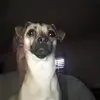 Joe Armbruster - @joe.armbruster3 - TikTok