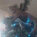 Joe Armbruster - @joearmbruster - Instagram