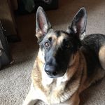 Joe Arndt - @joeyarndt72 - Instagram