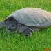 Joe Arndt - Facebook