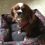 Joe Arndt - @arndt1185 - Instagram