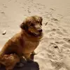 Joe Ashby - @joe.ashby5 - TikTok
