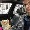 Joe Asher355 - @joeasher355 - TikTok