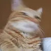 Joetater - @joetater - TikTok
