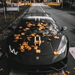 Joe Augustine - @joe.augustine.9256 - Instagram