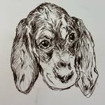 Joe Bacon - @santa_fe_rain - Instagram