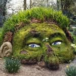 Joe Ballweg - @joeballweg - Instagram