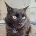 Joe Banach - Facebook