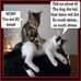 Joe Banach - Facebook