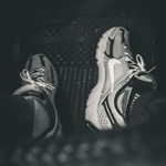 Joe B. - @joe_bananas - Instagram