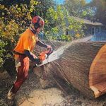 Joe Barfield - @nygiants4200 - Instagram