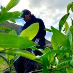 Joe Barham - @joebarham24 - Instagram