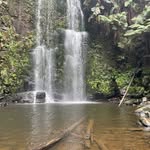 @joe.b.artell - Instagram