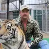 TIGER KING 👑🐯 - @joe_exotic_carole_baskin - TikTok