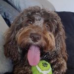 Joe Bateman - @joebateman21 - Instagram