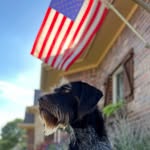Joe Batista - @joebatista15 - Instagram