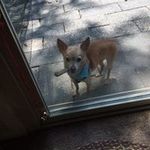 Joe Belcher - @belcher9431 - Instagram