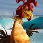 Joe Bergquist - @chicken_joe - Instagram