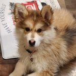Joe Berns - @slagdemon - Instagram
