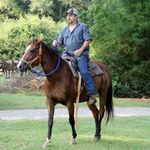 Joe Bess - @joe.bess.71 - Instagram