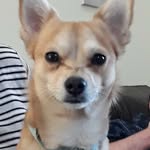 Joe Betts - @joe.betts_67 - Instagram