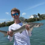 Joe Bilotta - @joecbilotta - Instagram
