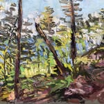 Joe Biss - @smellyjoelandscapes - Instagram