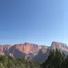 joeblown - @mushroom575 - TikTok