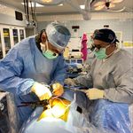 Joe Blythe - @blytheorthopedicspine - Instagram