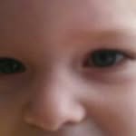 joe bock - @dellber1 - Instagram