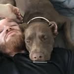 Joe Bonds - @a_ginger_and_his_dogs007 - Instagram