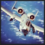 Joe Bone - @joebonester13 - Instagram