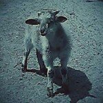 Joe Bone - @joebone84 - Instagram