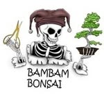 Joe Bonsai - @joe.bonsai - Instagram