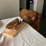 🄹🄾🄴 🐶 - @bordeaux_joe__xx - Instagram