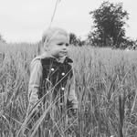 Justin Bornemann - @joebornemann - Instagram