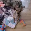 Joe Bourgeois365 - @joebourgeois365 - TikTok