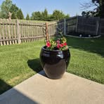 Joe Boyce - Facebook
