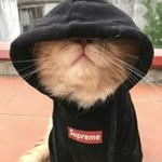 joebrent_ - @joebrent_ - Instagram