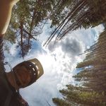 Joe Brush - @joe.brush - Instagram