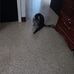 Joseph Buckler - Facebook