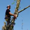 Joe Buckler - @joe.buckler - TikTok
