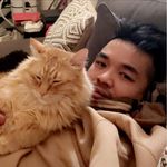 Joe Bui - @yo1yo3 - Instagram