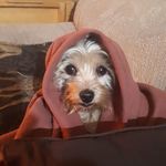 Joe Bundy - @joebundyjr - Instagram