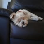 @joeburnside12 - Instagram