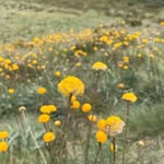 @bushmanjoe42 - Instagram