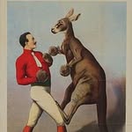 Joe Button - @aussiejoebutton - Instagram