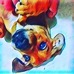 Joe Canas - @joe_mvp21 - Instagram