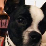 Joe Capps - @jcapps10273 - Instagram