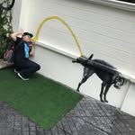 Joe Carrera - @joey__crack_the_don - Instagram